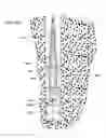 Fig. 49 - Tools and methods for making and using tools, blades and methods of making and using blades