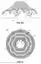 Fig. 07 - Hose assembly having varied reinforcing layers