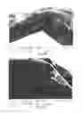 Fig. 05 - MACROSCOPIC ORDERED ASSEMBLY OF CARBON NANOTUBES