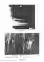 Fig. 14 - MACROSCOPIC ORDERED ASSEMBLY OF CARBON NANOTUBES