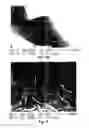Fig. 15 - MACROSCOPIC ORDERED ASSEMBLY OF CARBON NANOTUBES