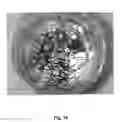 Fig. 16 - MACROSCOPIC ORDERED ASSEMBLY OF CARBON NANOTUBES