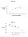 Fig. 05 - Movable contact, sheet having movable contact, and switch apparatus using the same
