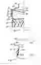 Fig. 03 - Flash chromatography cartridge