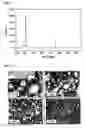 Fig. 05 - Method of Surface Treatment and Surface-Treated Article