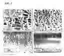 Fig. 06 - Method of Surface Treatment and Surface-Treated Article