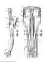Fig. 25 - Surgical Stapling Device