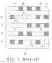 Fig. 02 - Document with indexes