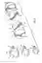 Fig. 03 - Magnetic attachment apparatus