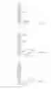 Fig. 12 - Height adjustable holding apparatus