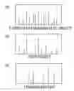Fig. 01 - Foreign matter or abnormal unsmoothness inspection apparatus and foreign matter or abnormal unsmoothness inspection method