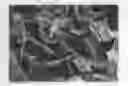 Fig. 01 - Ionic organic compound