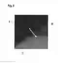 Fig. 06 - Varistor element