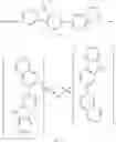 Fig. 26 - Metal Complex, Light-Emitting Device, and Image Display Apparatus