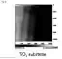 Fig. 10 - Semiconductor Device Using Titanium Dioxide as Active Layer and Method for Producing Semiconductor Device