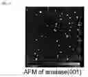 Fig. 14 - Semiconductor Device Using Titanium Dioxide as Active Layer and Method for Producing Semiconductor Device