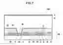 Fig. 03 - Image detector and radiation detecting system with separation of metal layers for bias, scan and data lines
