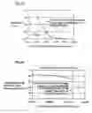 Fig. 20 - Light emitting apparatus