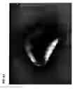 Fig. 22 - Light emitting apparatus