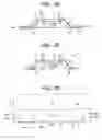 Fig. 18 - Semiconductor package configuration with improved lead portion arrangement
