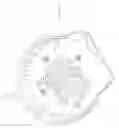 Fig. 58 - Electronic module for rotating electrical machine