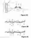 Fig. 06 - Wall crawling devices