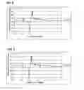 Fig. 04 - Boundary acoustic wave device
