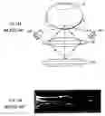 Fig. 15 - Biometrics authentication system with authentication based upon multiple layers