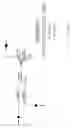 Fig. 68 - Radio frequency communications devices
