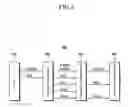 Fig. 03 - Driver for operating multiple display devices