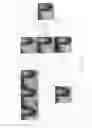 Fig. 12 - Three-dimensional display apparatus using intermediate elemental images