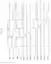 Fig. 08 - Organic light emitting display and driving circuit thereof