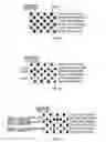 Fig. 10 - Liquid ejecting method and liquid ejecting apparatus