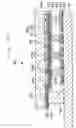 Fig. 14 - Liquid droplet ejection apparatus, method for manufacturing electro-optic device, electro-optic device, and electronic equipment