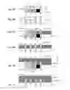 Fig. 19 - UV inkjet printing of vision control panels