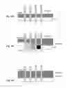 Fig. 22 - UV inkjet printing of vision control panels