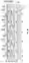 Fig. 08 - Photonically Activated Fluid Ejector Apparatus And Methods