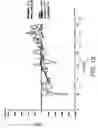 Fig. 09 - INSPECTION AND STRENGTH MEASUREMENT OF SOLDER AND STRUCTURAL JOINTS USING LASER GENERATED STRESS WAVES