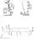 Fig. 11 - INSPECTION AND STRENGTH MEASUREMENT OF SOLDER AND STRUCTURAL JOINTS USING LASER GENERATED STRESS WAVES