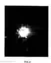 Fig. 05 - Astrometry and photometry with coronagraphs