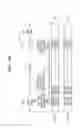 Fig. 06 - Method of Ensuring Reproduction Compatibility of Information Recording Medium, and Recording and/or Reproducing Apparatus and Information Recording Medium Therefor