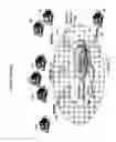 Fig. 03 - Multilink meshed transport service