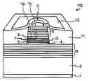 Fig. 01 - Surface emitting laser device