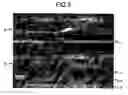 Fig. 03 - Surface emitting laser device