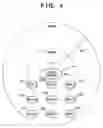 Fig. 05 - Control apparatus to divide other communication apparatuses into multiple groups for slot allocated communication