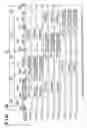 Fig. 23 - Control apparatus to divide other communication apparatuses into multiple groups for slot allocated communication