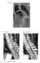 Fig. 06 - Method for automatic evaluation of scan image data records