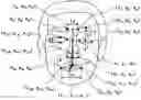 Fig. 01 - Device, program, and method for determining sleepiness