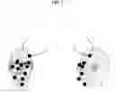 Fig. 03 - Object Tracking by 3-Dimensional Modeling