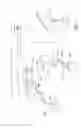Fig. 06 - Imaging system, method, and accessory therefor